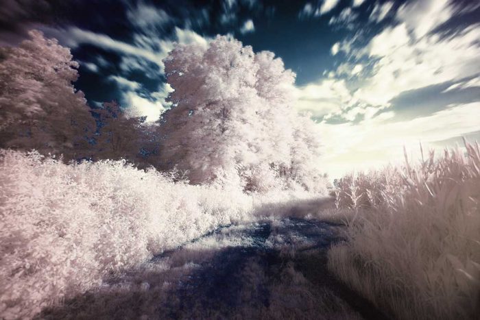 Different types of photography Infrared Photography