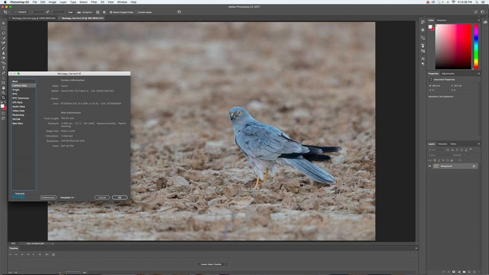 exif data viewer for mac
