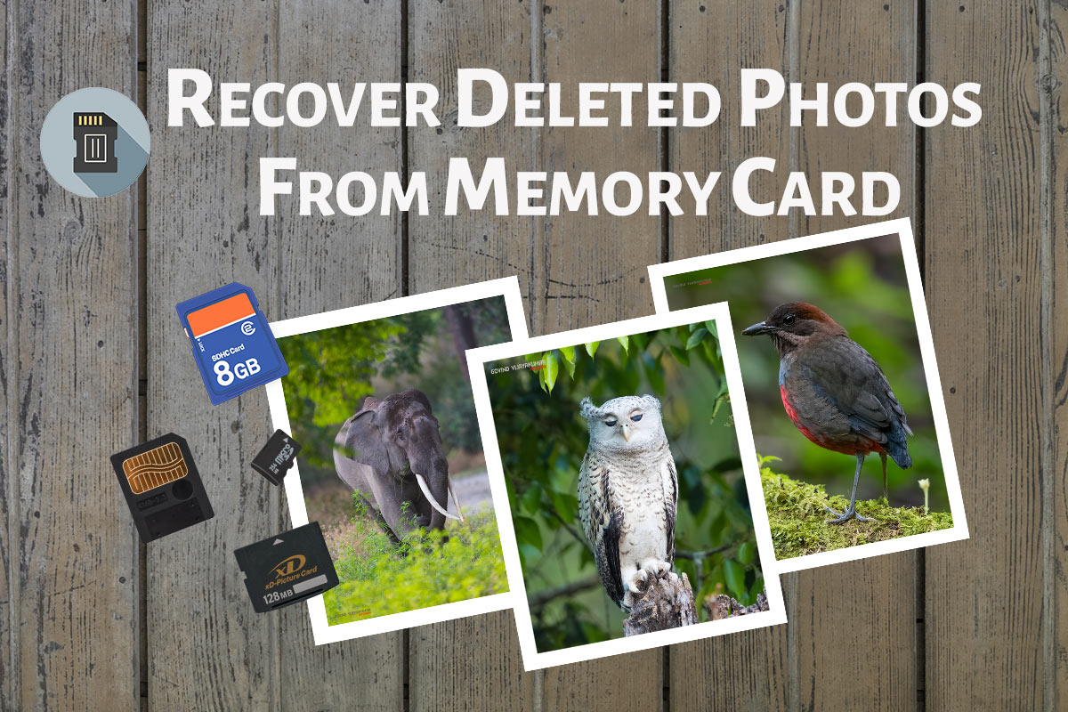 how to recover deleted videos from memory card