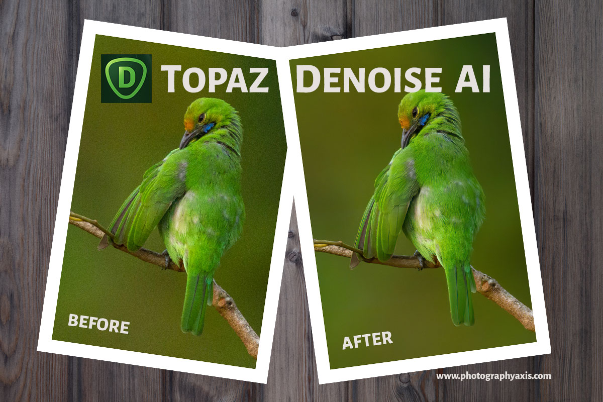 download the last version for ios Topaz Photo AI 1.4.2