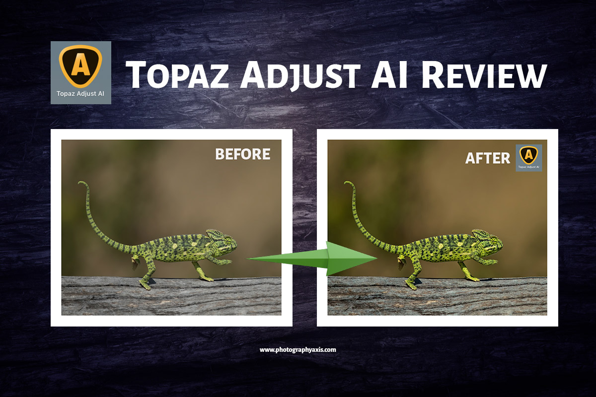 Topaz Photo AI 1.4.3 instal the last version for ios