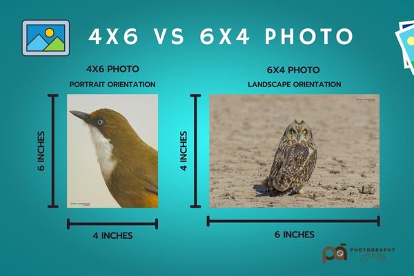 How Big is a 4×6 Photo?(Inch, cm, mm, Ft, Pixels) - PhotographyAxis