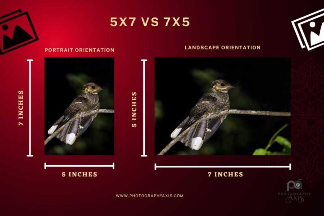 How Big is a 5×7 Photo? (mm, cm, Inch, Ft, Pixels) - PhotographyAxis