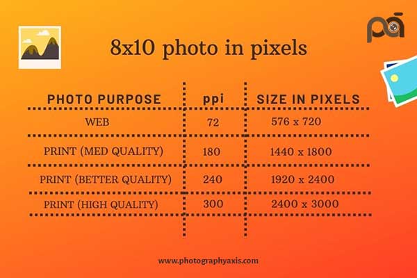 How Big is an 8×10 Photo?(Inch, cm, mm, Pixels) - PhotographyAxis