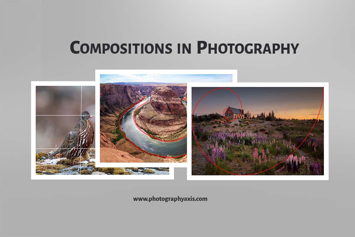 33 Photography Composition Techniques To Master| Complete Guide ...