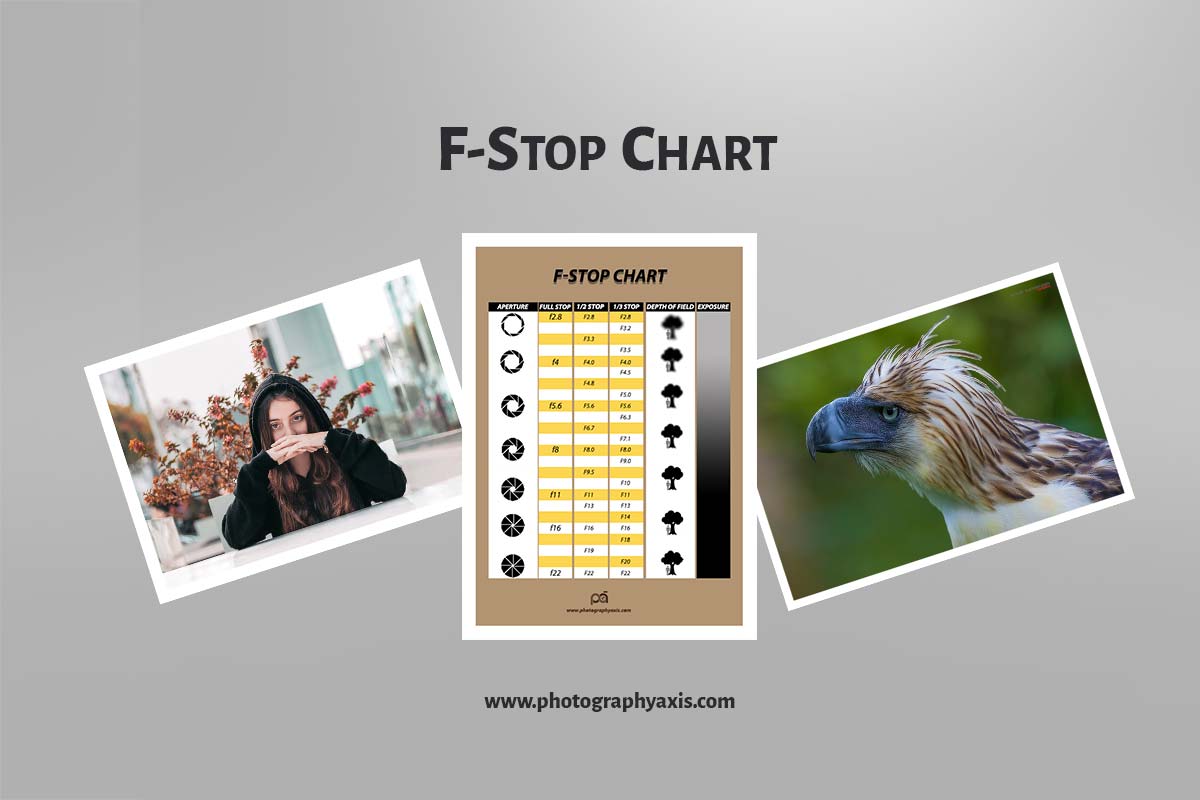 F stop Chart (Aperture Stop Chart) Explained - PhotographyAxis