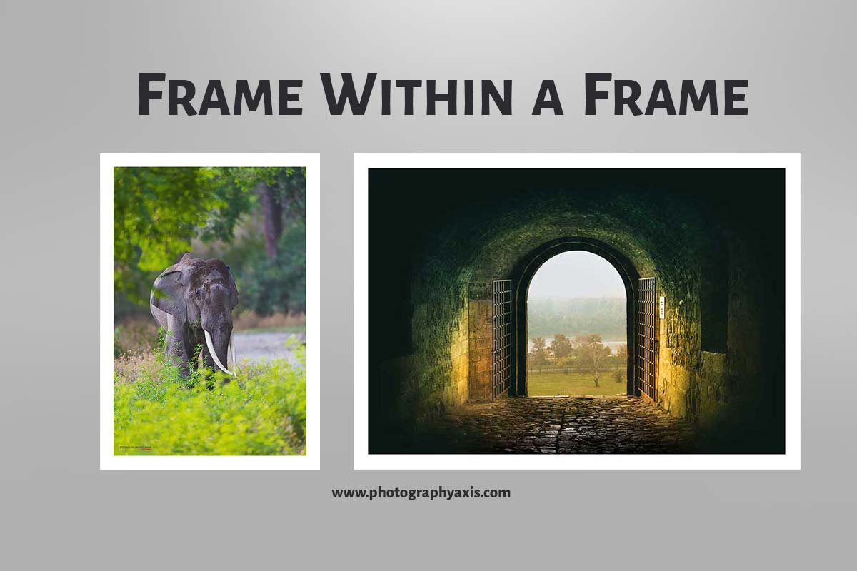 frame photography