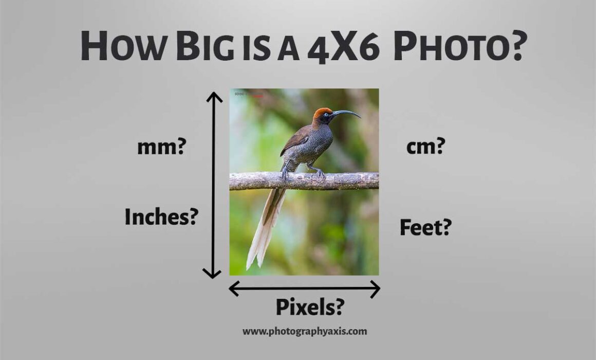 How Big Is a 4x6 Photo? (Size in Pixels, Inches, Cm) • PhotoTraces
