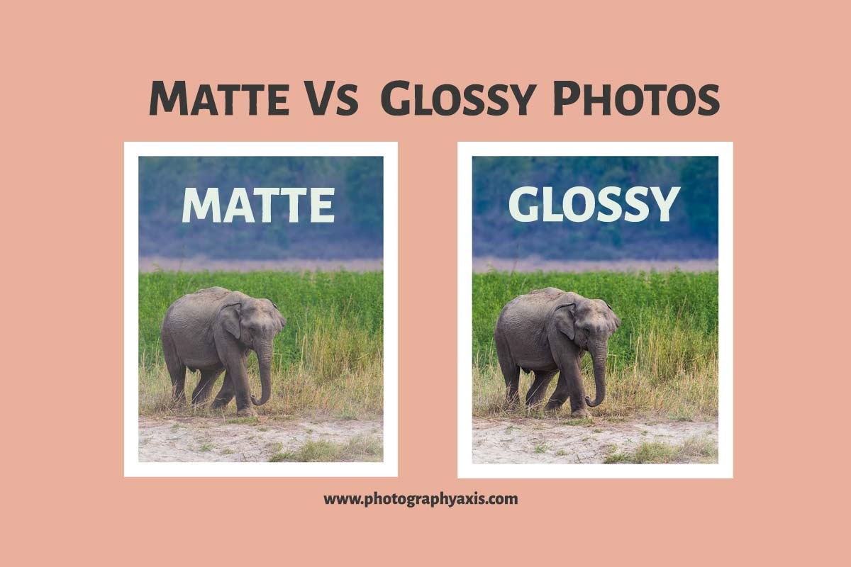 Matte Vs Glossy Photos 1 