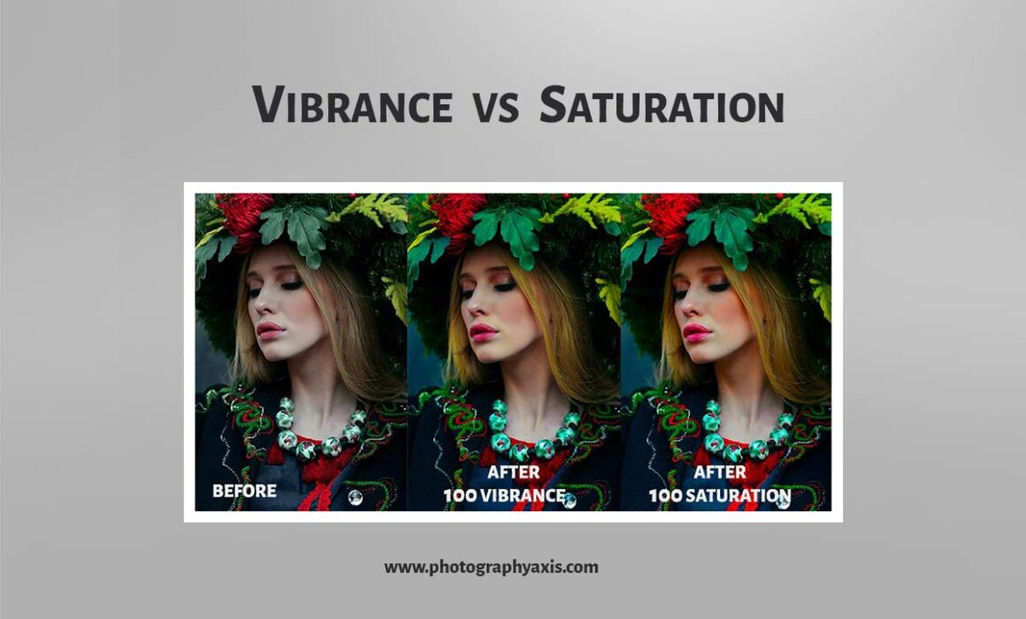 Vibrance Vs Saturation In Photography The Key Differences