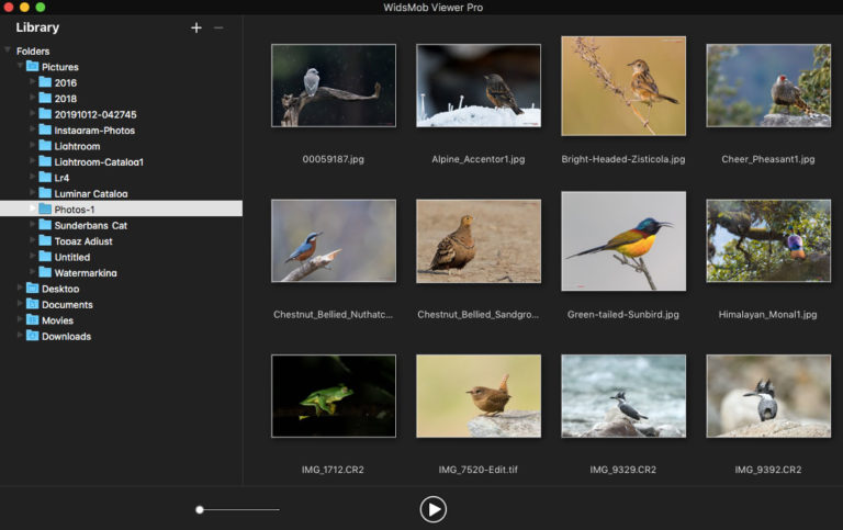 WidsMob Viewer Pro instal the last version for android